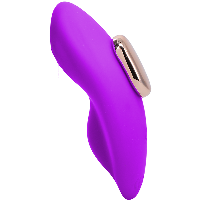 Magnetic Panty Vibe with Remote In a Bag