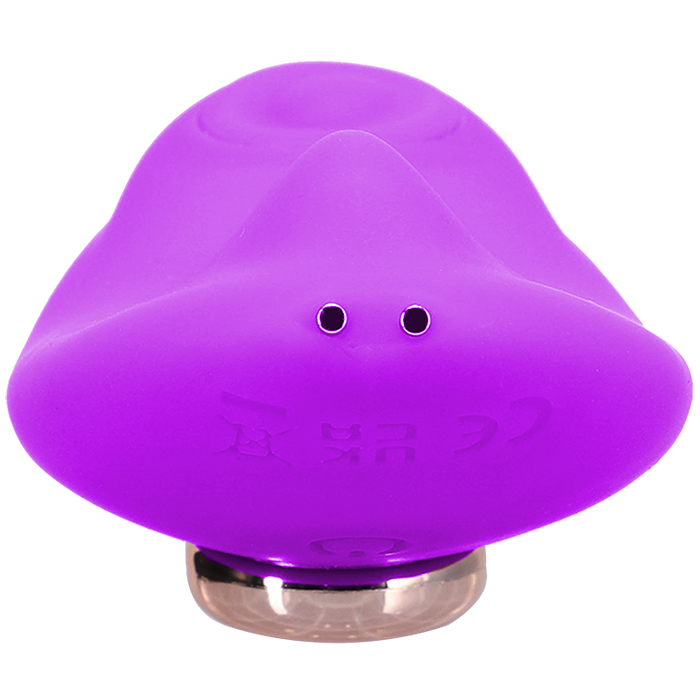 Magnetic Panty Vibe with Remote In a Bag