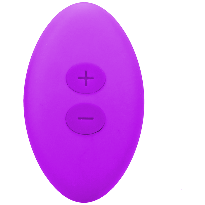 Magnetic Panty Vibe with Remote In a Bag